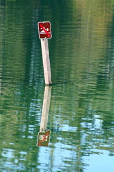 Wapato Lake no swimming sign