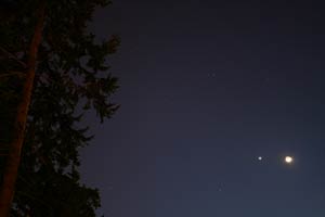 Crescent Moon, Venus and a nearby tree