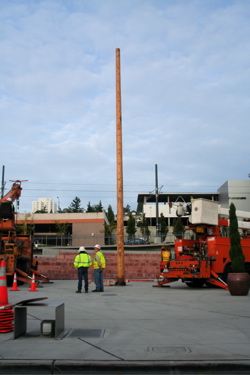 Pole in Tollefson Plaza